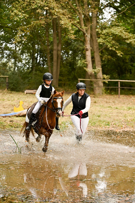  | 27092025  Führzügel WB _230 