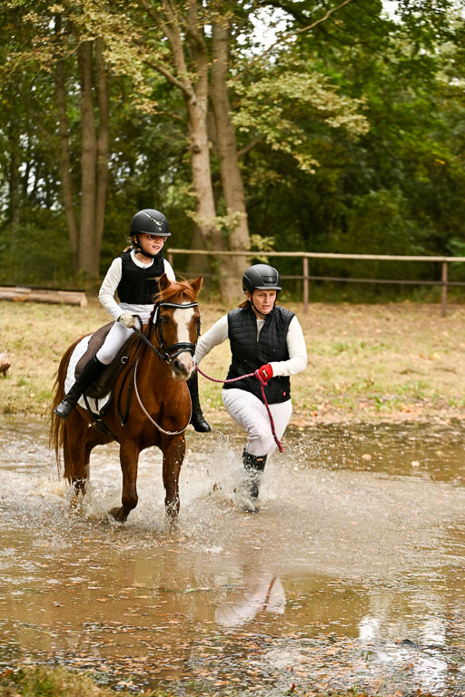  | 27092025  Führzügel WB _235 