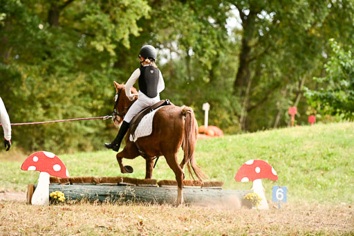  | 27092025  Führzügel WB _238 