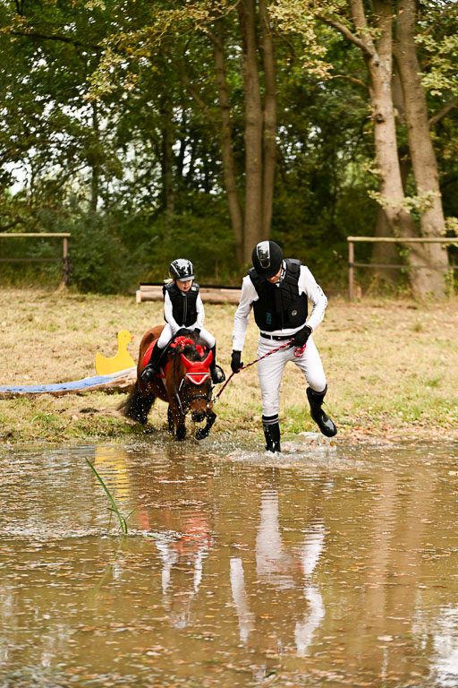  | 27092025  Führzügel WB _243 