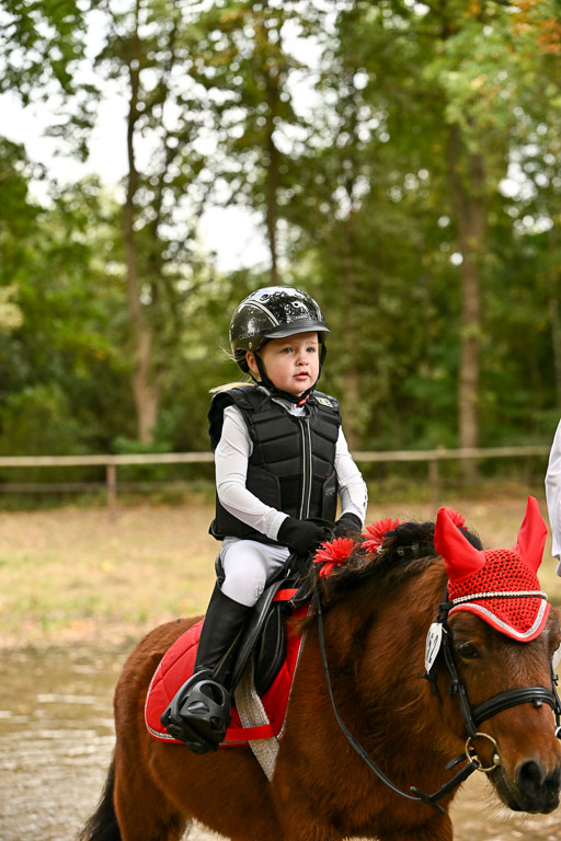  | 27092025  Führzügel WB _248 