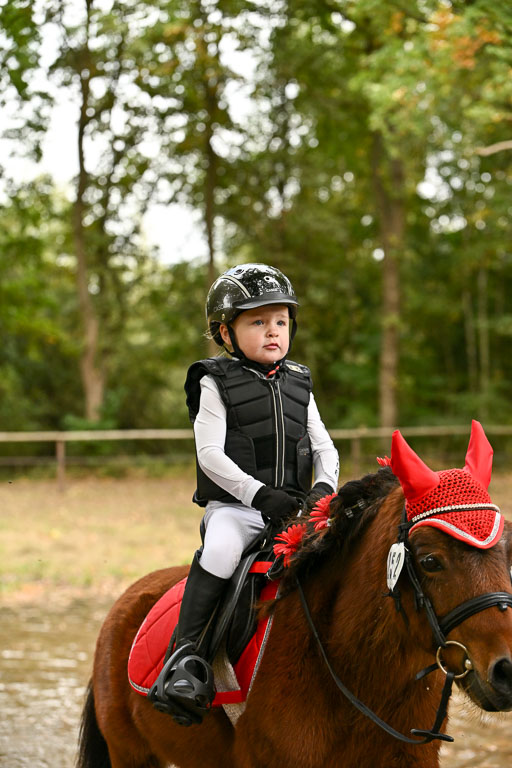  | 27092025  Führzügel WB _249 