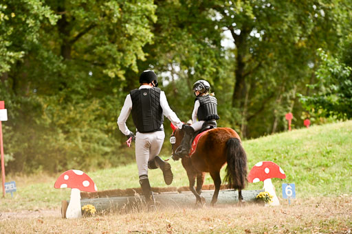  | 27092025  Führzügel WB _250 