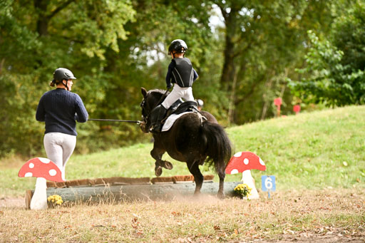  | 27092025  Führzügel WB _259 