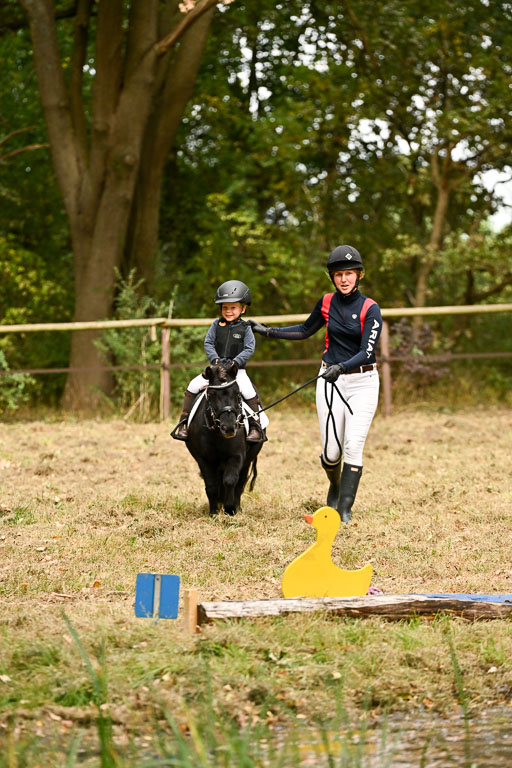  | 27092025  Führzügel WB _262 