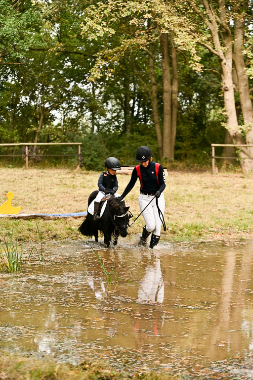  | 27092025  Führzügel WB _265 