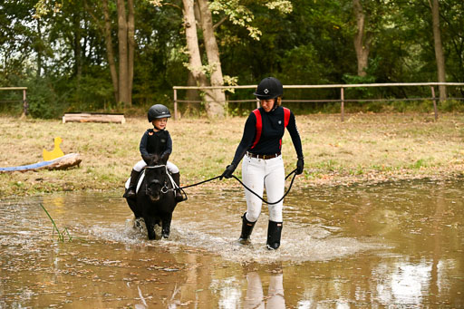  | 27092025  Führzügel WB _268 