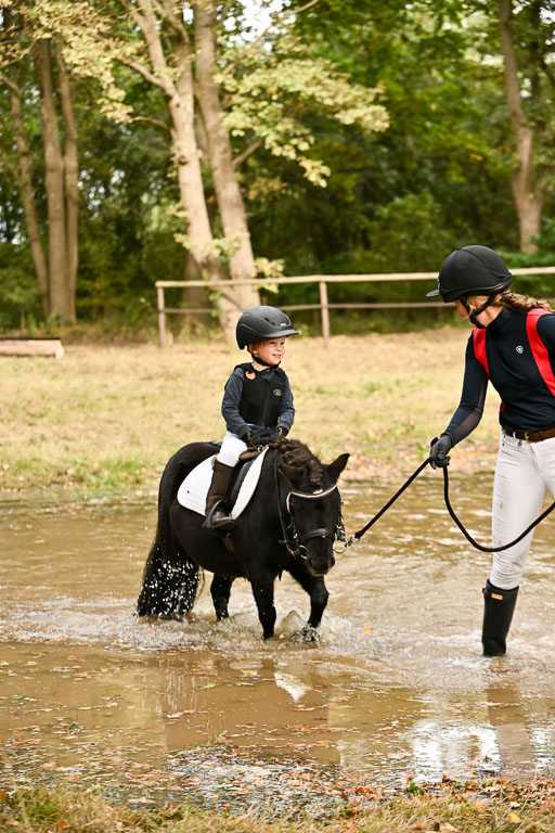  | 27092025  Führzügel WB _269 