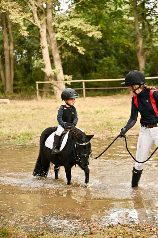  | 27092025  Führzügel WB _270 