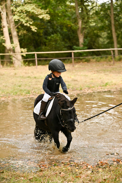  | 27092025  Führzügel WB _271 