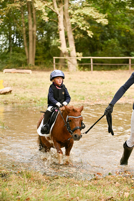  | 27092025  Führzügel WB _278 