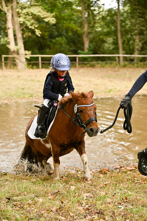  | 27092025  Führzügel WB _280 