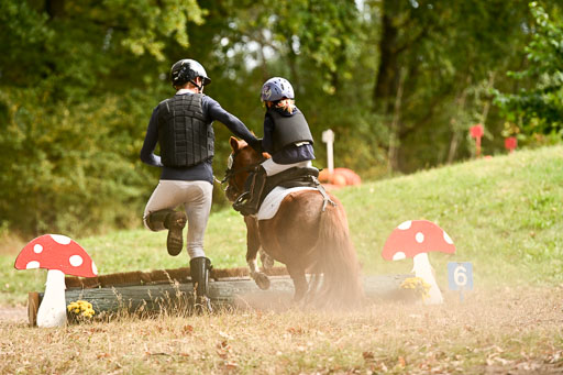  | 27092025  Führzügel WB _283 