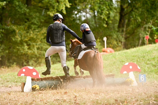  | 27092025  Führzügel WB _284 