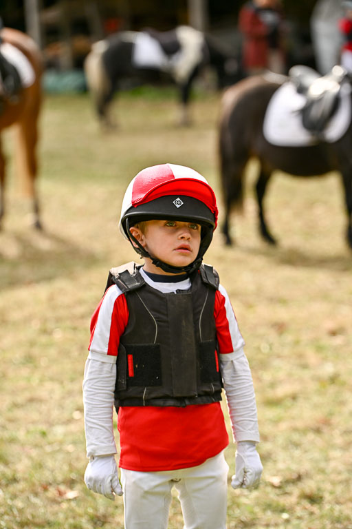  | 27092025  Führzügel WB _290 