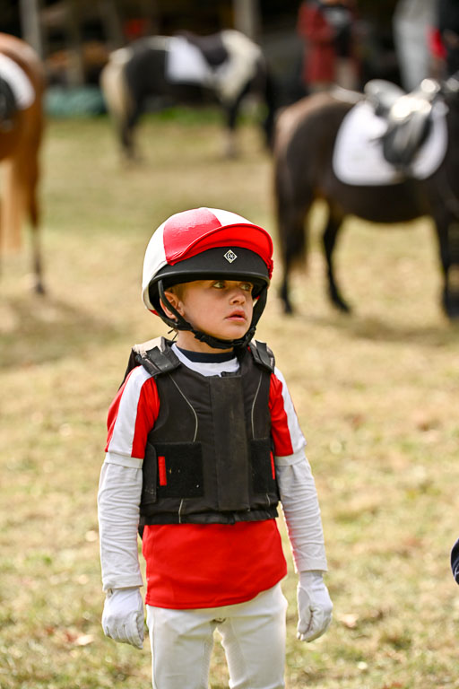  | 27092025  Führzügel WB _291 