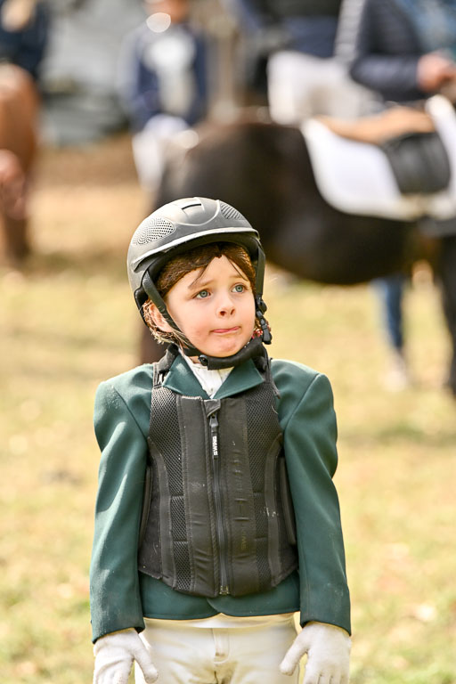  | 27092025  Führzügel WB _296 