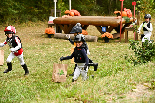  | 27092025  Führzügel WB _336 