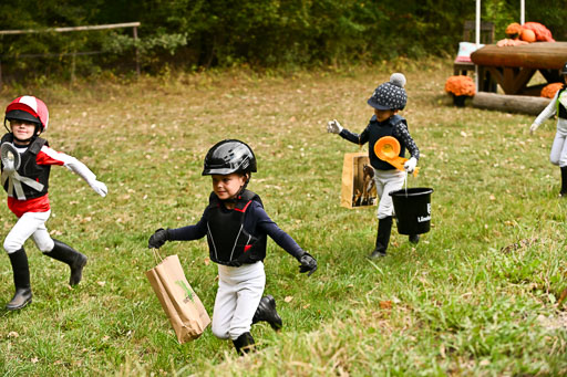  | 27092025  Führzügel WB _337 