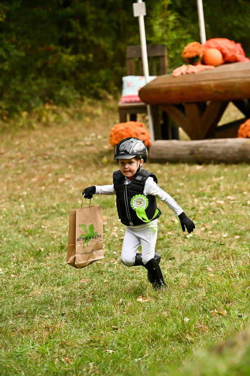  | 27092025  Führzügel WB _341 