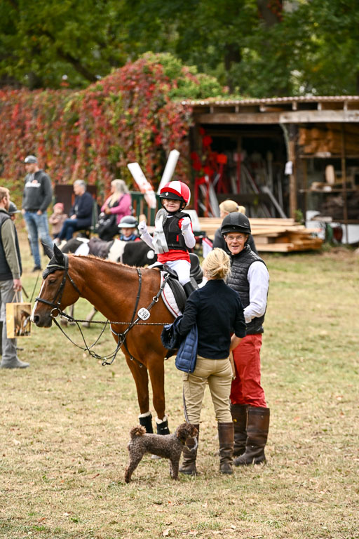  | 27092025  Führzügel WB _356 