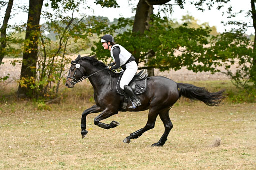 Gelände CCI **