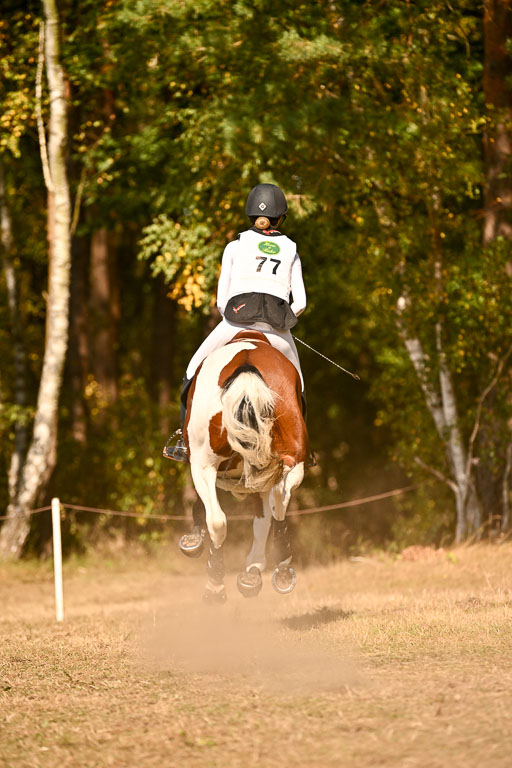  | 28092025 Gelände Intro _147 