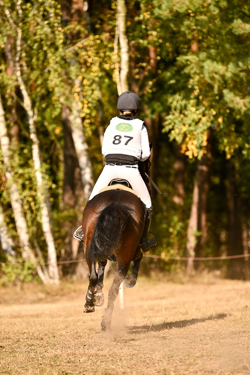  | 28092025 Gelände Intro _250 