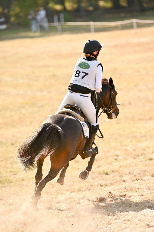  | 28092025 Gelände Intro _256 