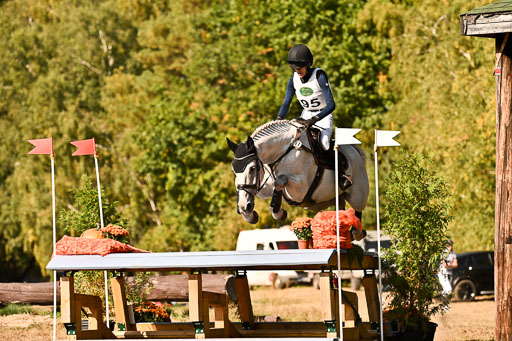  | 28092025 Gelände Intro _320 