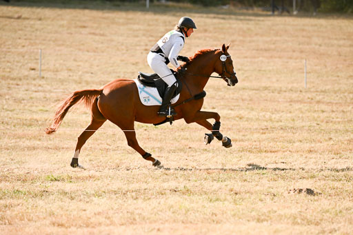  | 28092025 Gelände Intro _326 