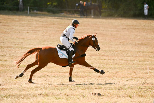  | 28092025 Gelände Intro _327 