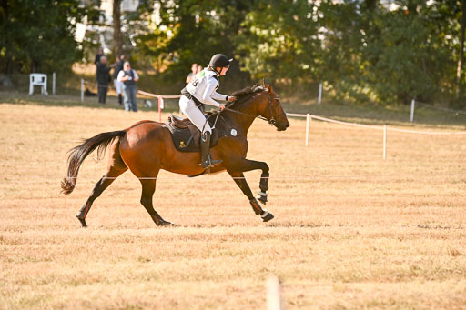  | 28092025 Gelände Intro _345 