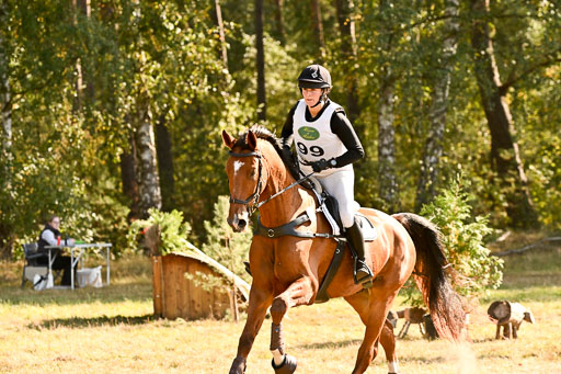  | 28092025 Gelände Intro _349 