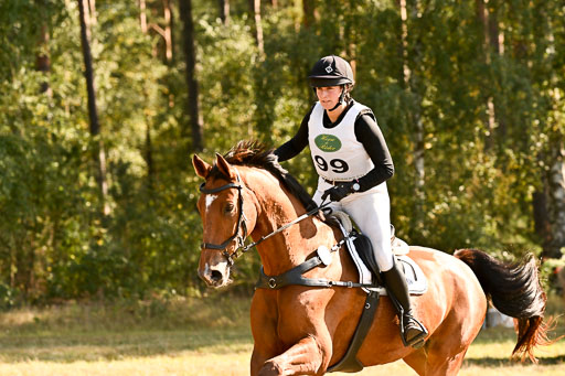  | 28092025 Gelände Intro _350 