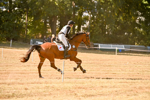  | 28092025 Gelände Intro _356 