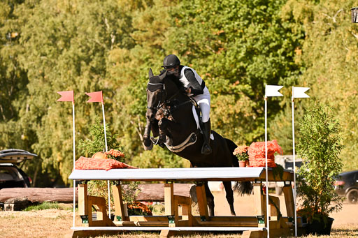  | 28092025 Gelände Intro _375 