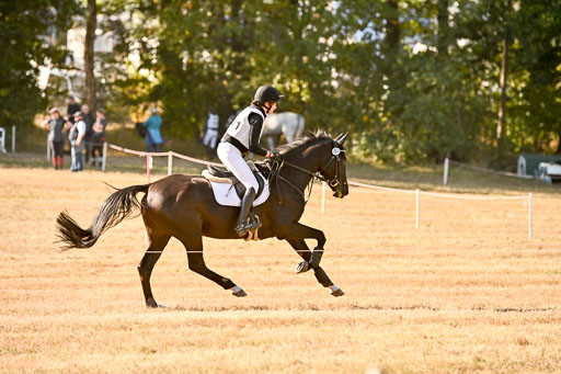  | 28092025 Gelände Intro _378 