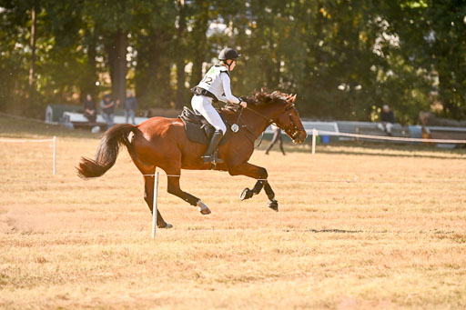  | 28092025 Gelände Intro _387 