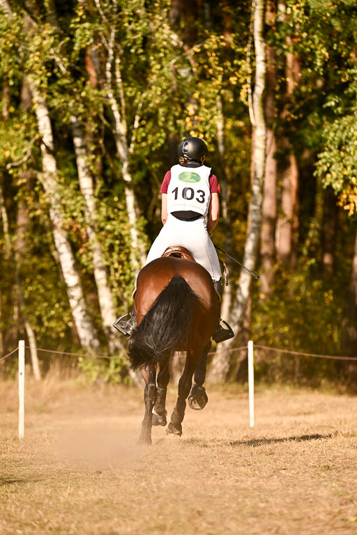  | 28092025 Gelände Intro _391 