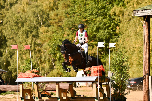  | 28092025 Gelände Intro _392 