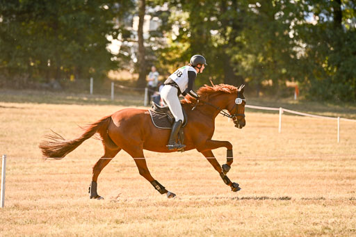  | 28092025 Gelände Intro _439 