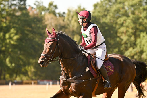  | 28092025 Gelände Intro _460 