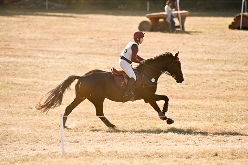  | 28092025 Gelände Intro _463 