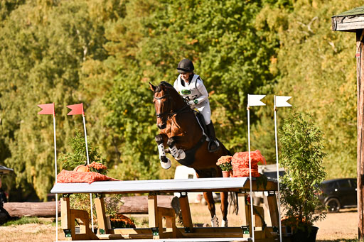  | 28092025 Gelände Intro _480 