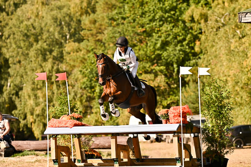  | 28092025 Gelände Intro _481 