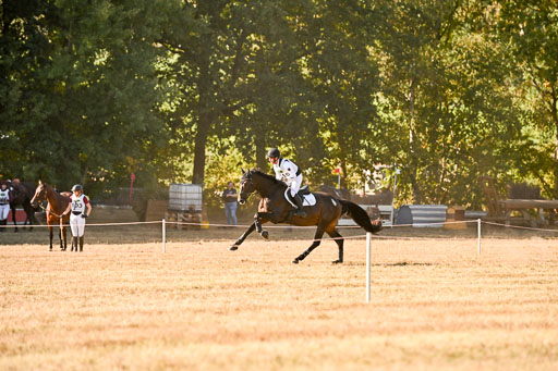  | 28092025 Gelände Intro _498 