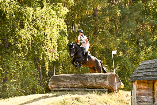  | 28092025 Gelände Intro _500 