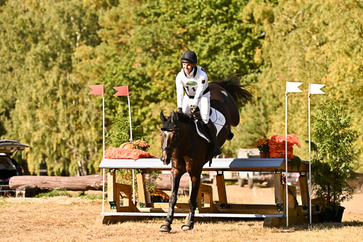  | 28092025 Gelände Intro _517 