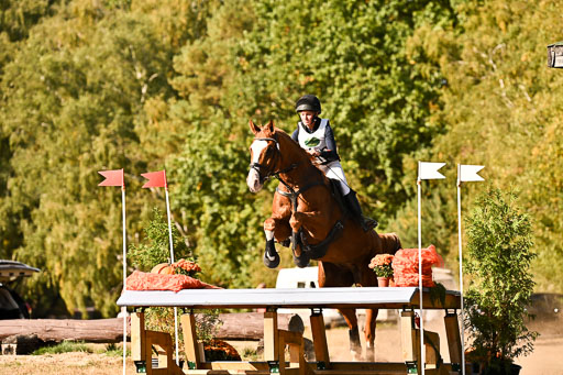  | 28092025 Gelände Intro _536 